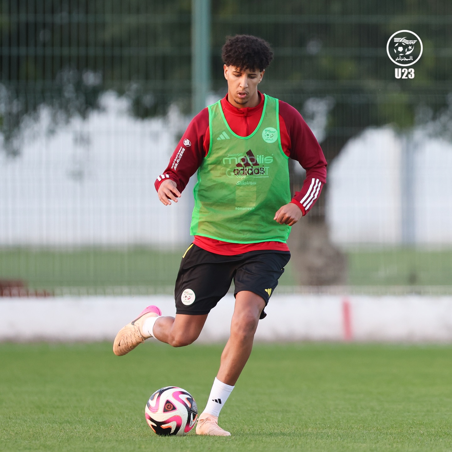 657281771 18170991466398019 8518412233032938573 n