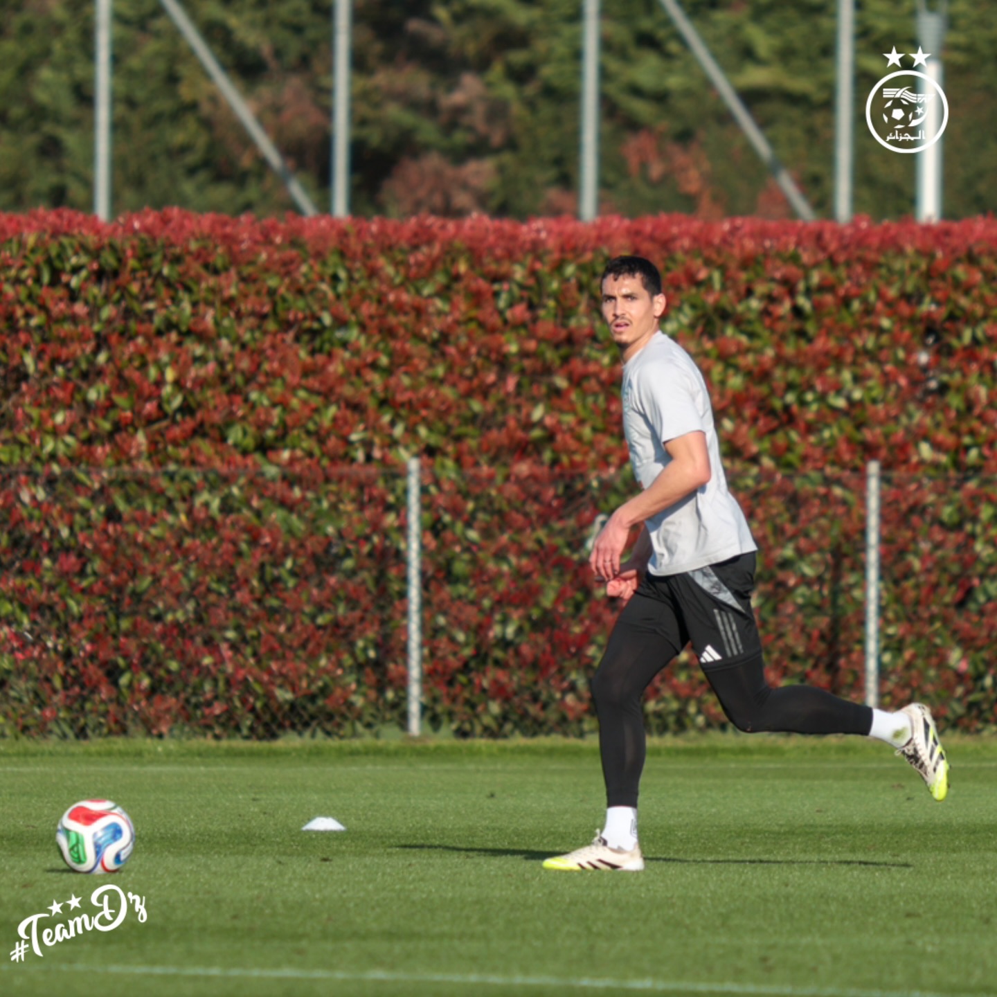 657324978 18170856001398019 5150529635600367974 n