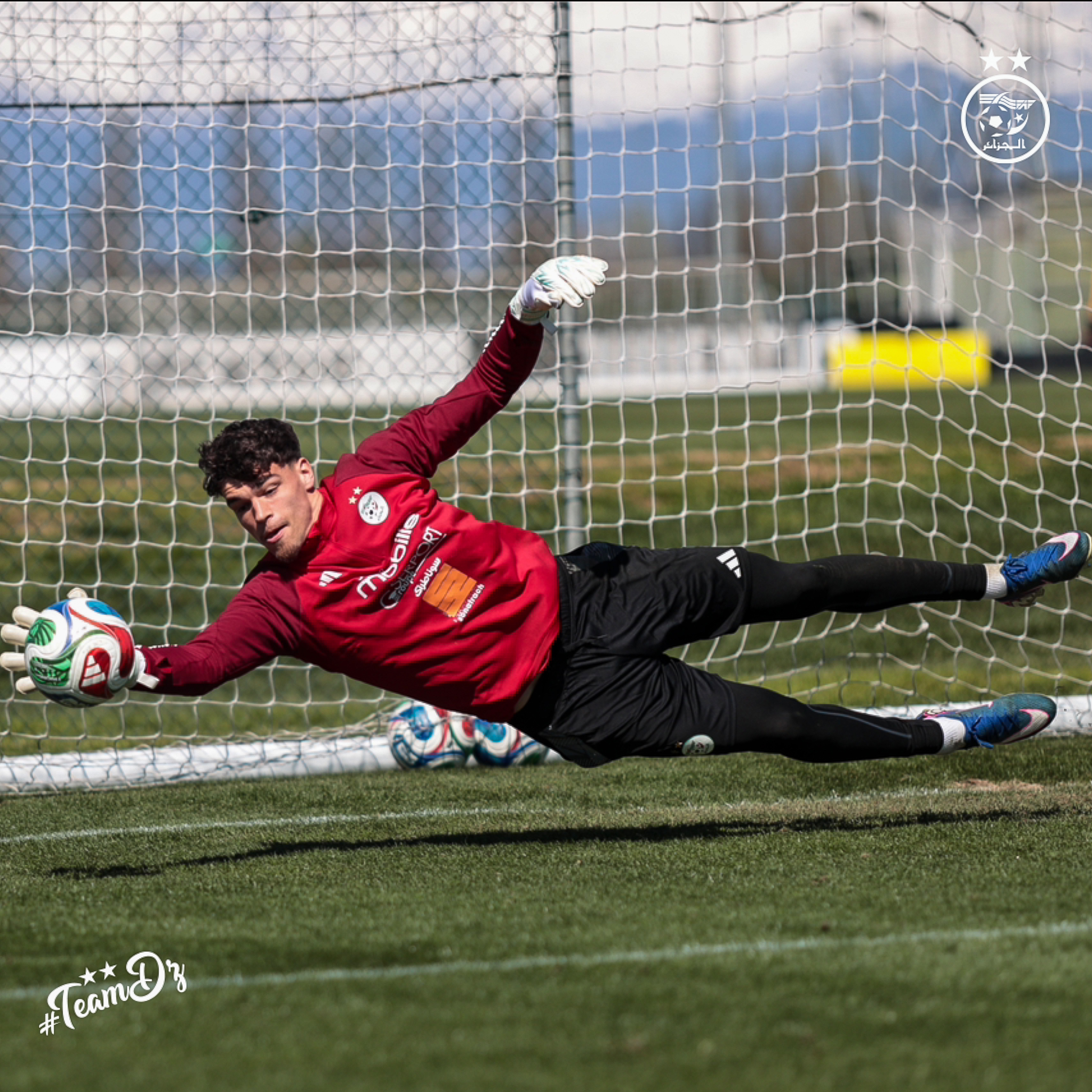 657334443 122191008632484363 1426593958584630594 n