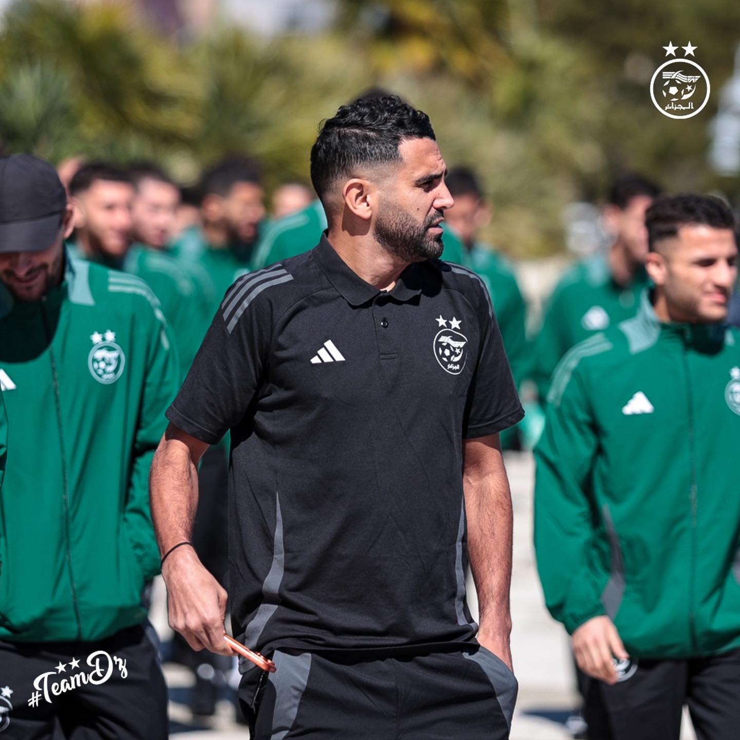 657346613 122191092890484363 1444195311605667165 n