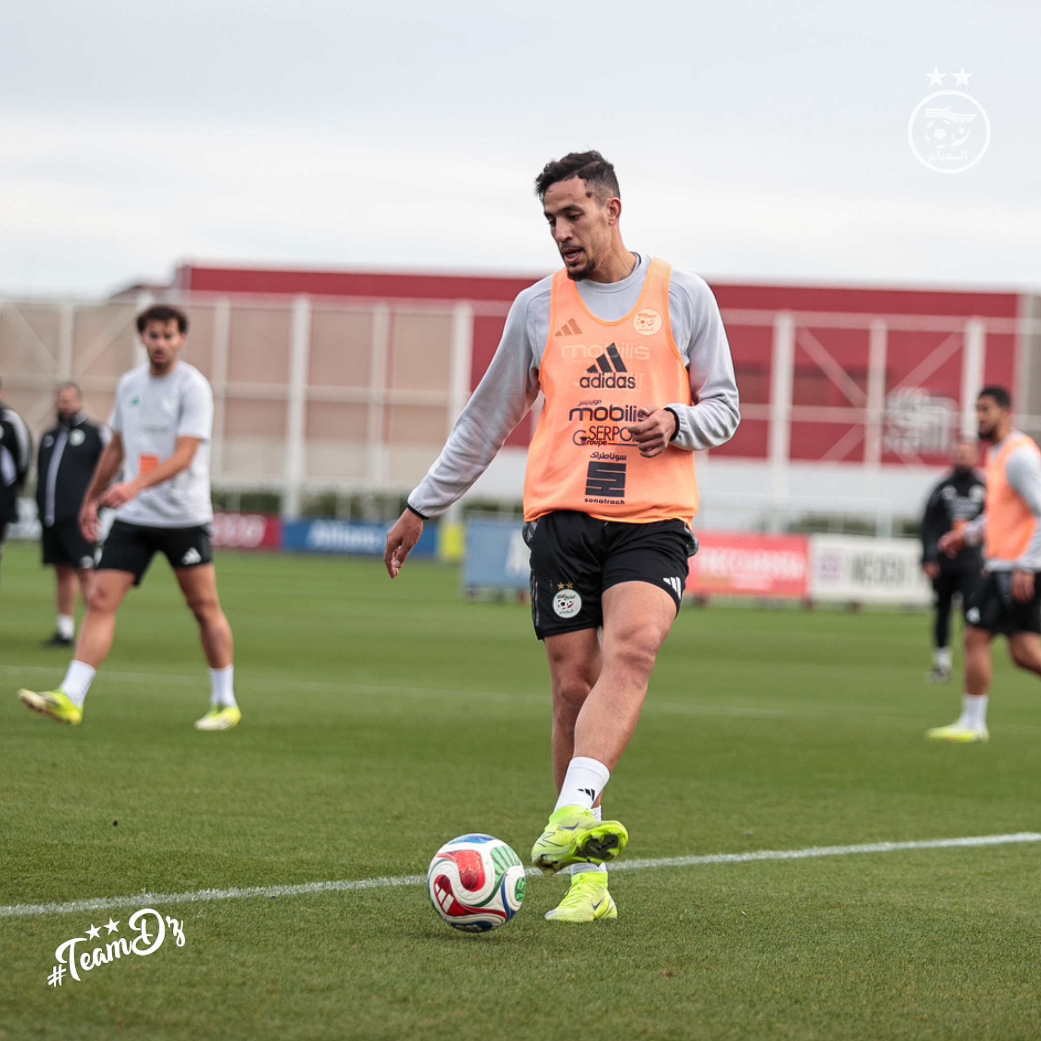 657455897 122191230056484363 2383315924965096080 n