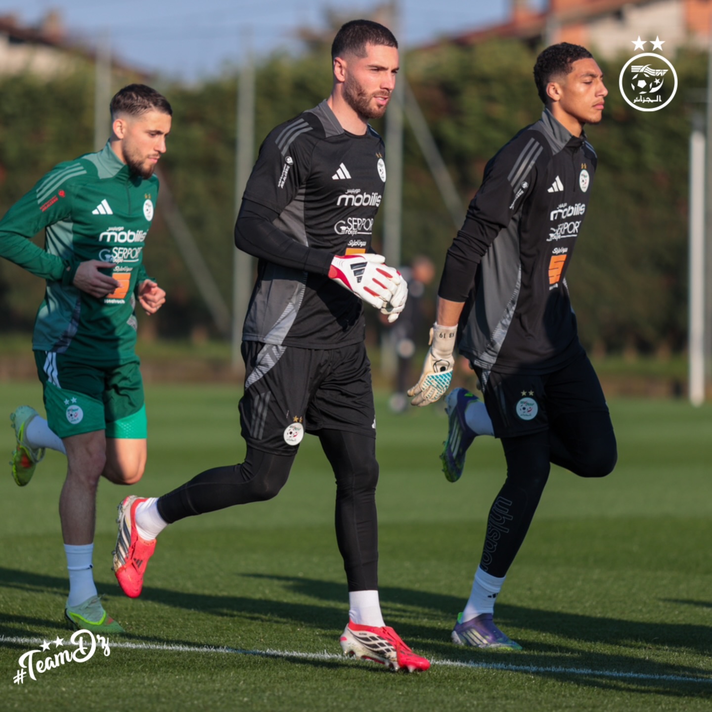 657743306 18170737222398019 6100370358292669658 n