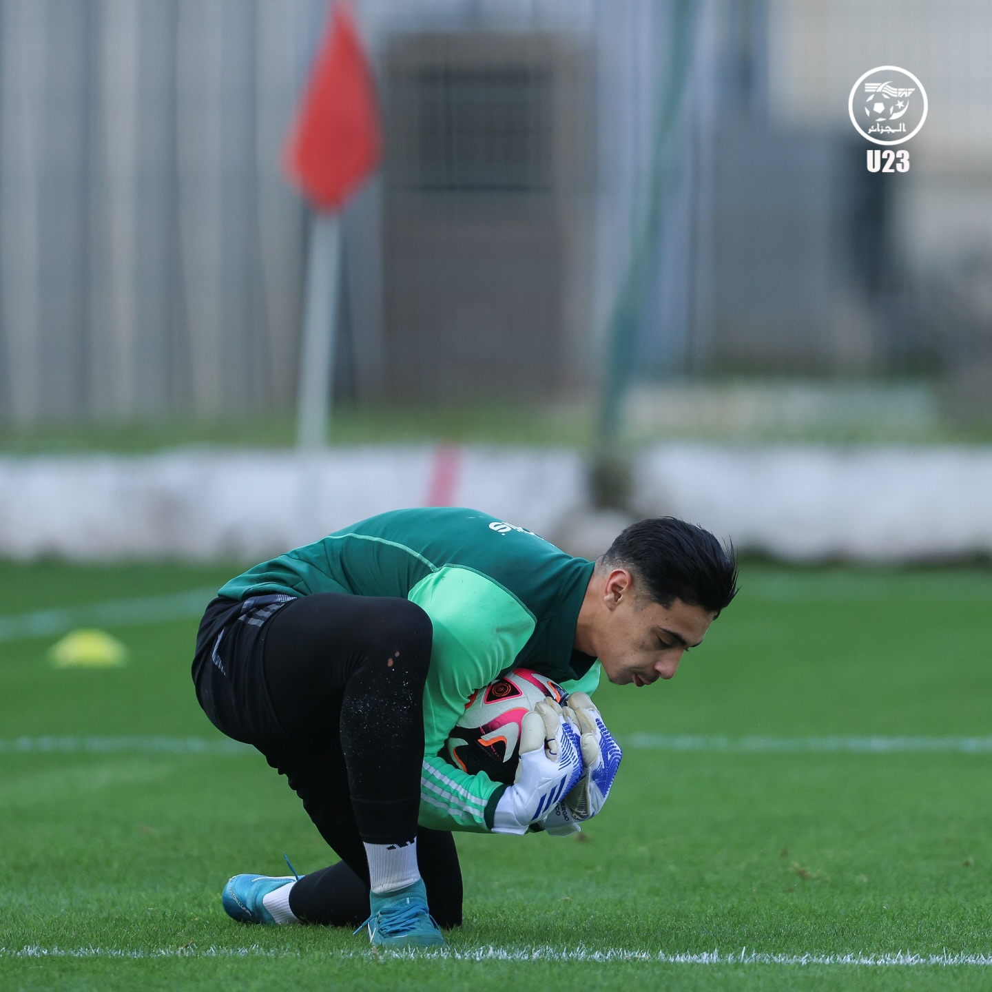 657890870 18170730298398019 8724884807896038637 n