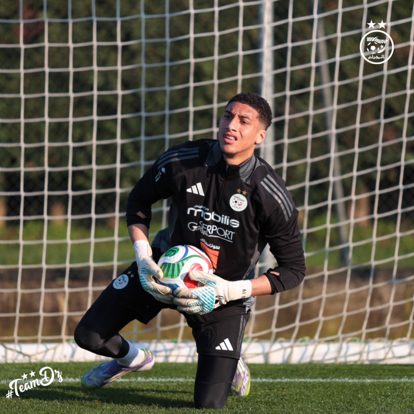 658030604 18170737339398019 1966327280572762690 n