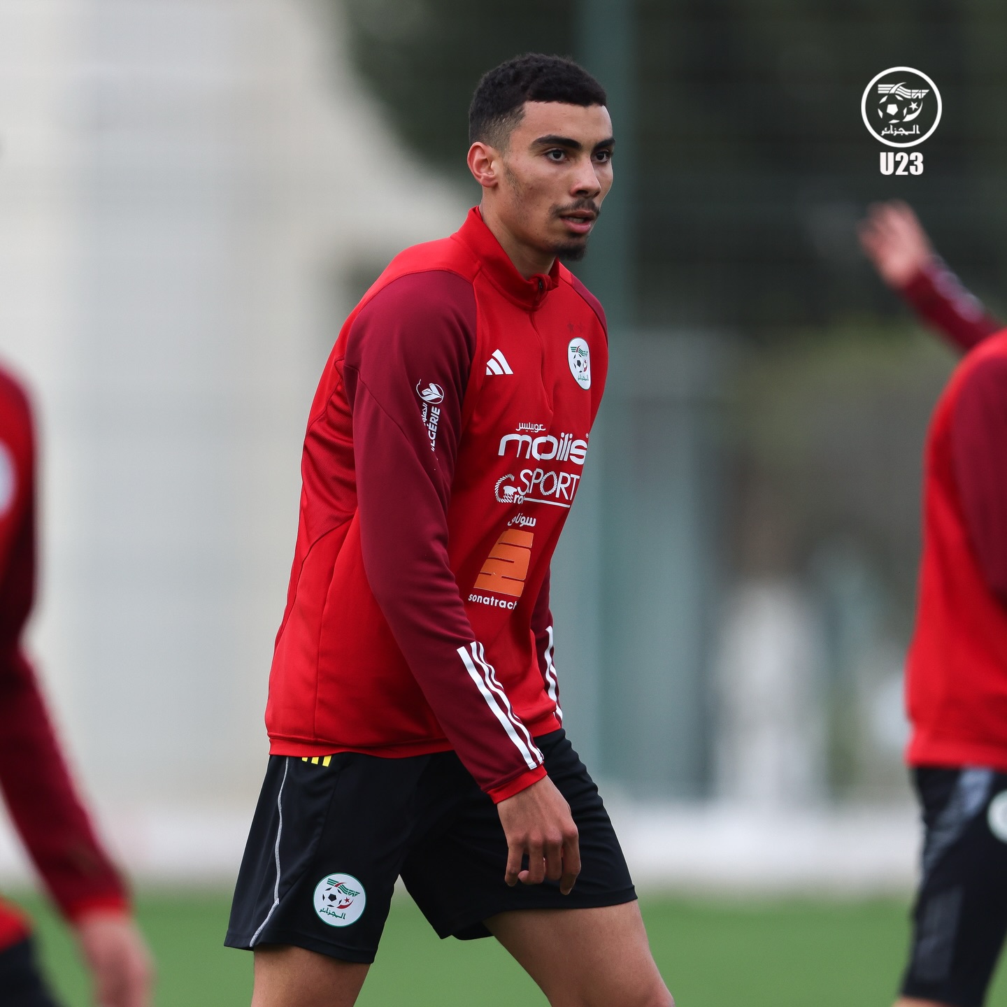 658075316 18171104506398019 4916636989570257896 n