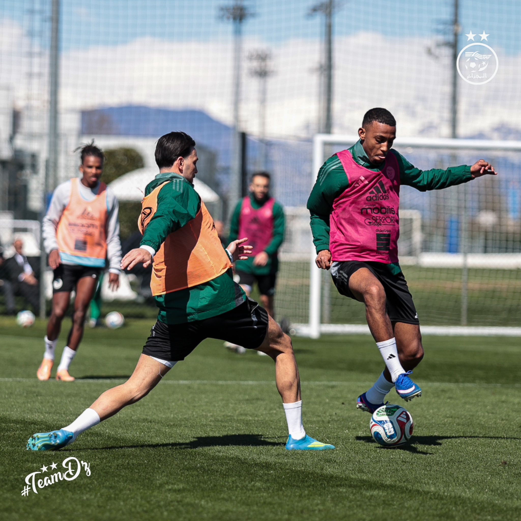 658128905 122191008530484363 8946285802110168576 n