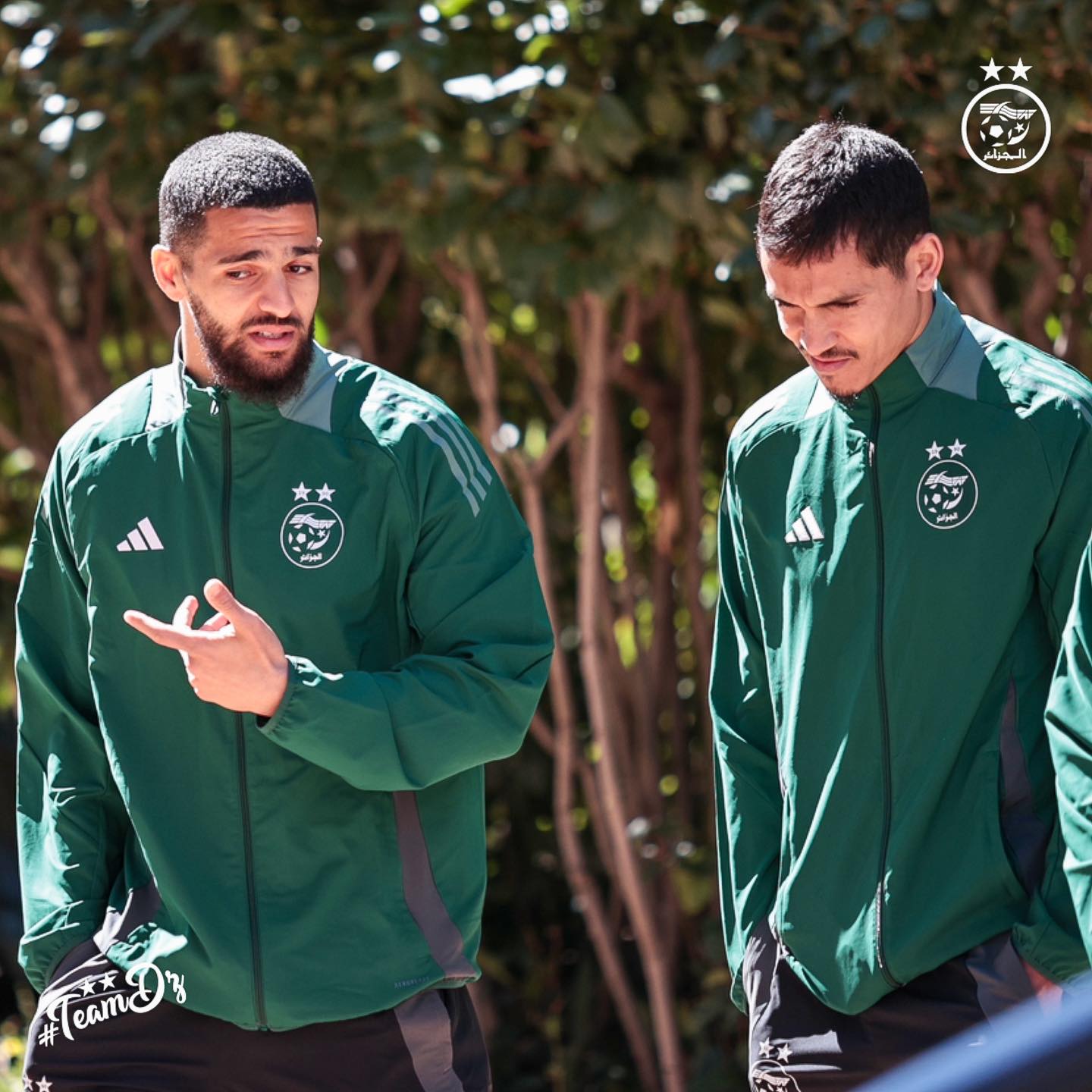 658134808 122191093142484363 7678142471254353998 n