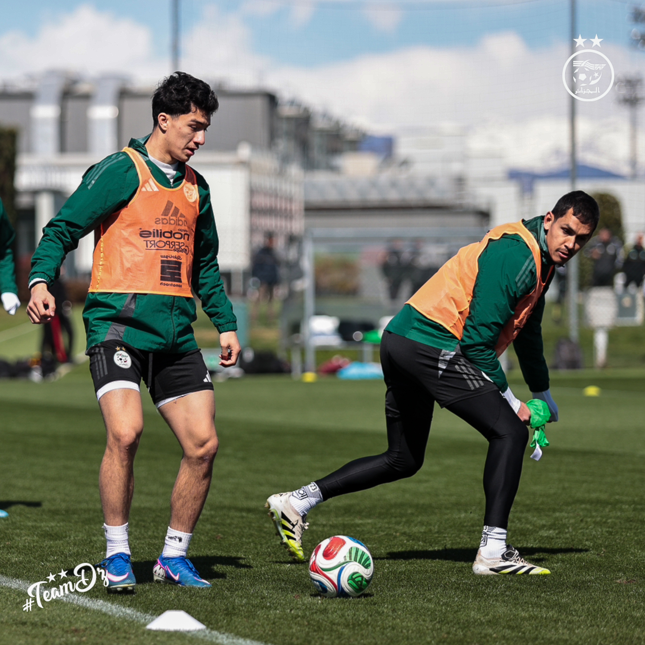 658347862 122191008926484363 1344816538561515607 n