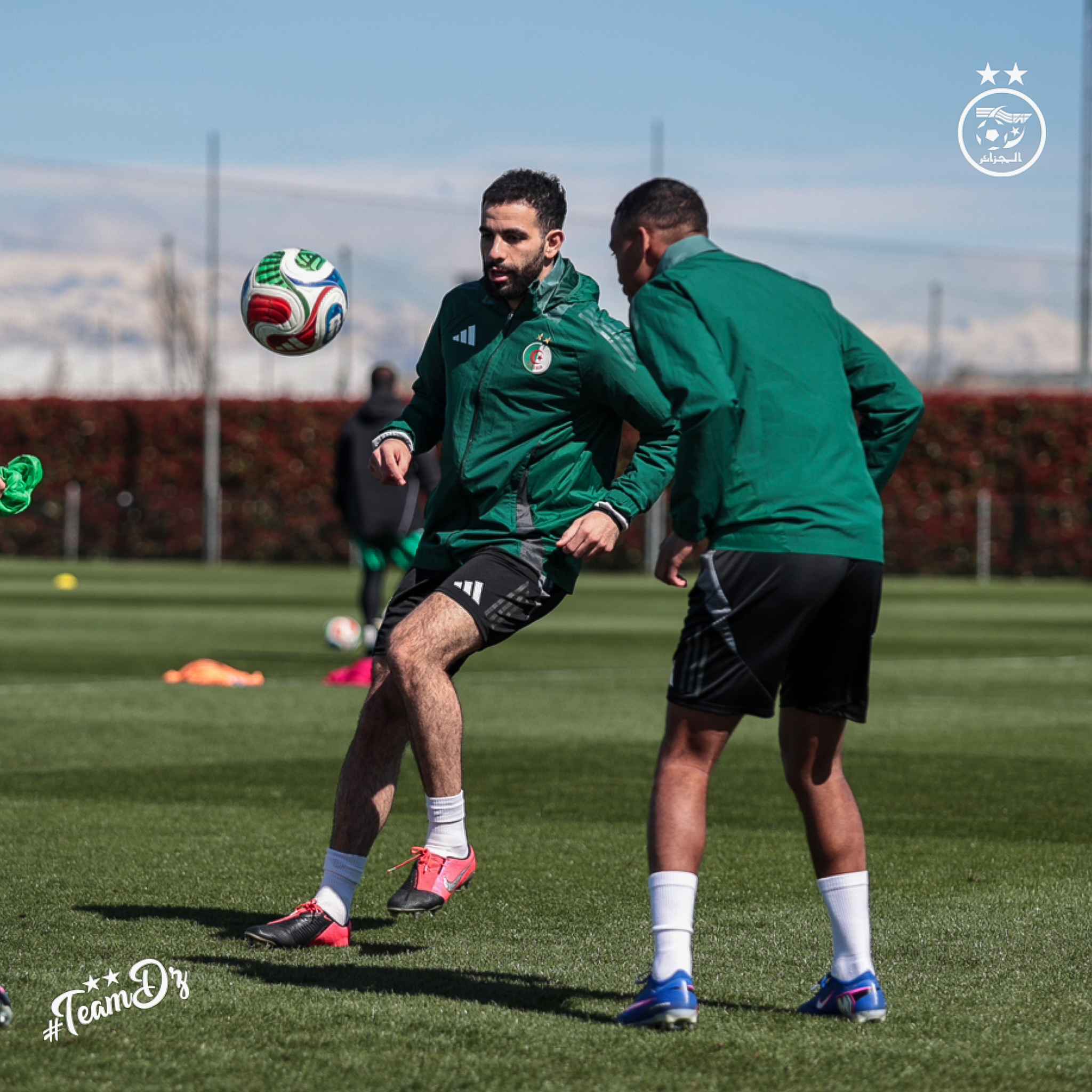 658567748 122191008878484363 5201862500011038524 n