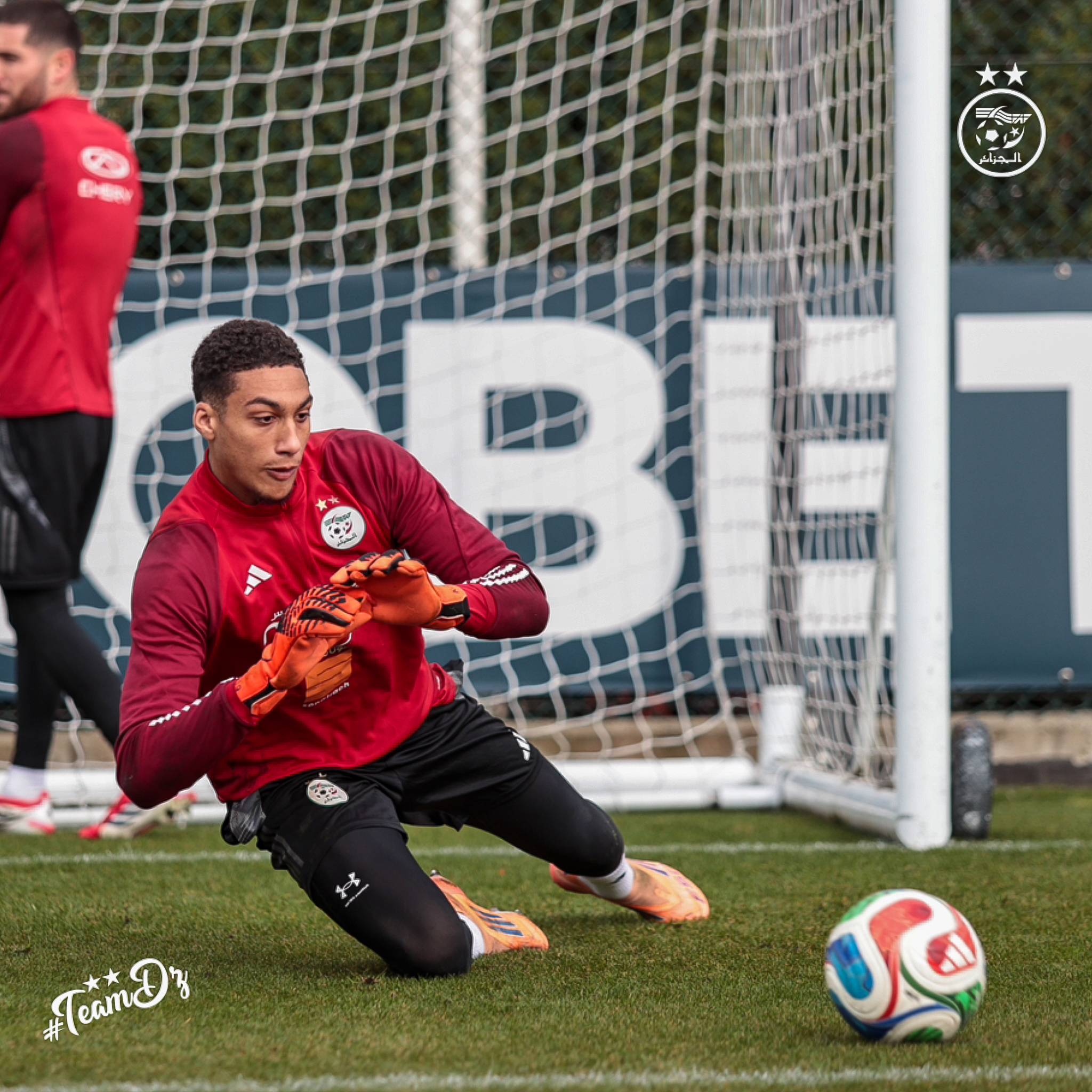 658824650 122191229822484363 7961381412720840767 n