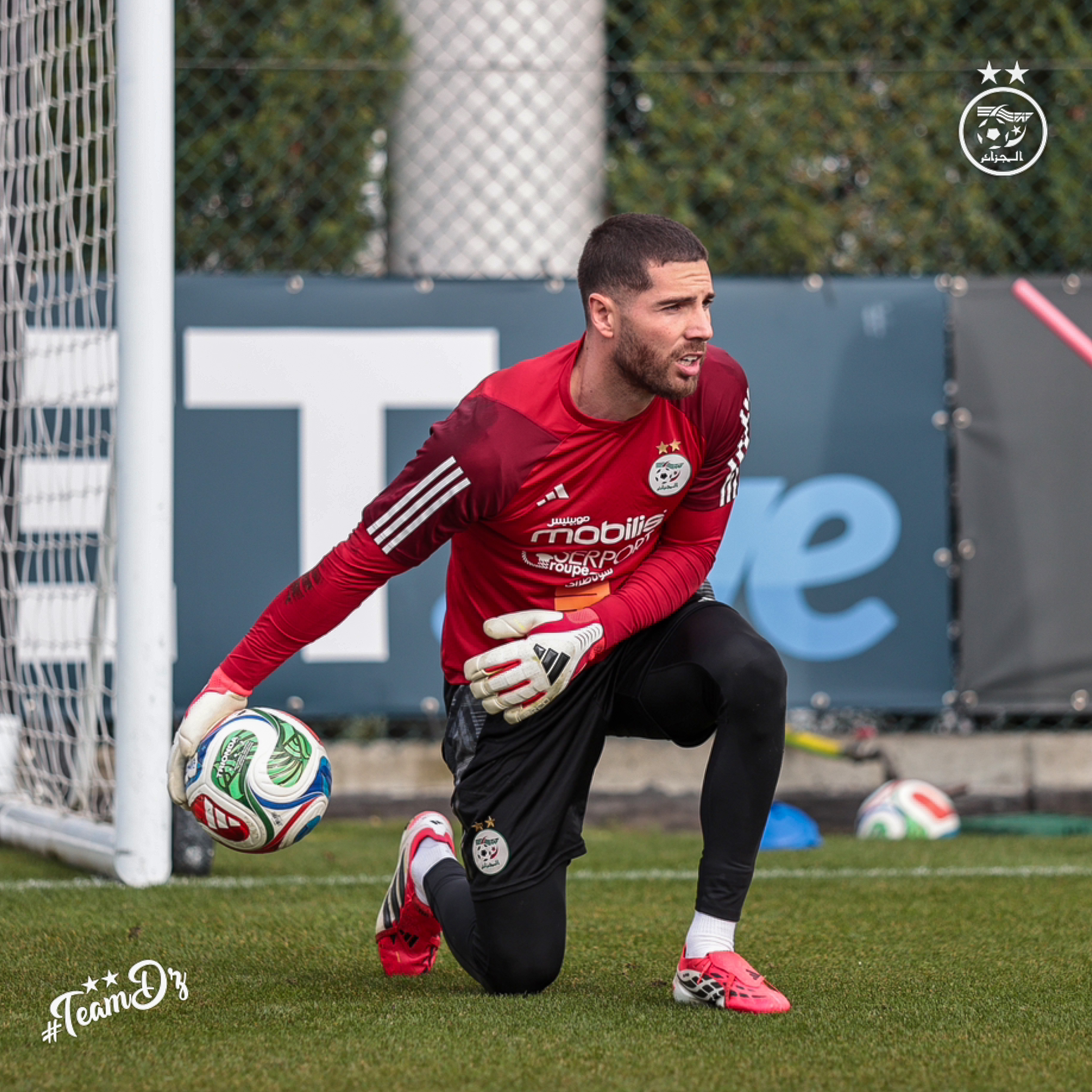 659117177 122191229666484363 5186600745923552505 n