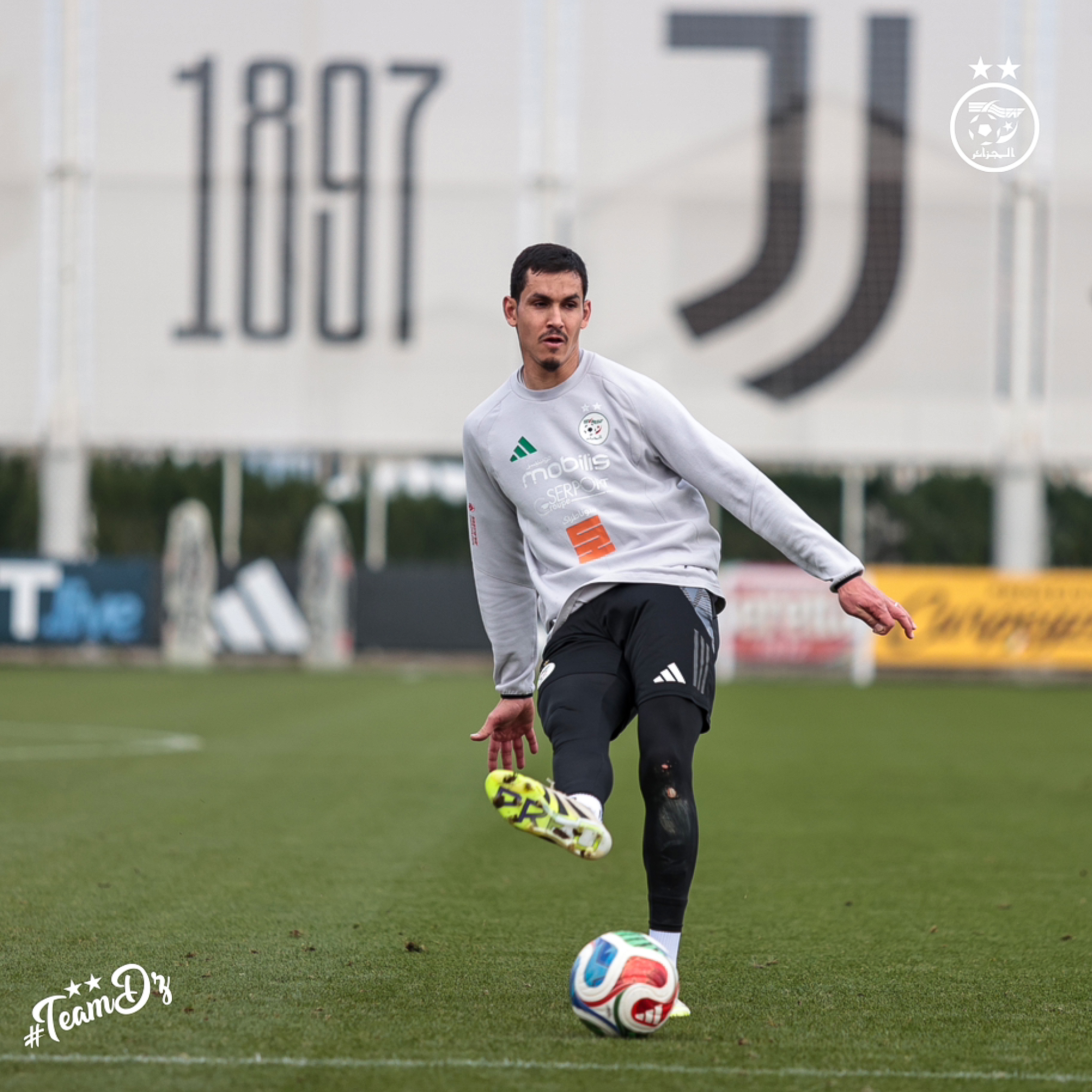 659941406 122191229528484363 3024563785469379414 n