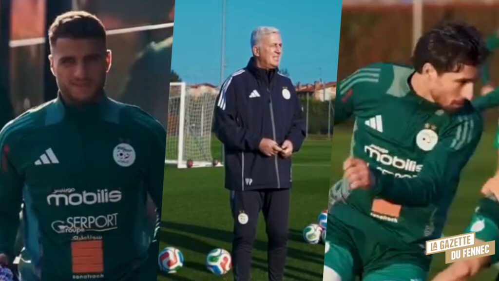 Algérie-Guatemala (J-3) : Le premier entrainement des Verts en Vidéo