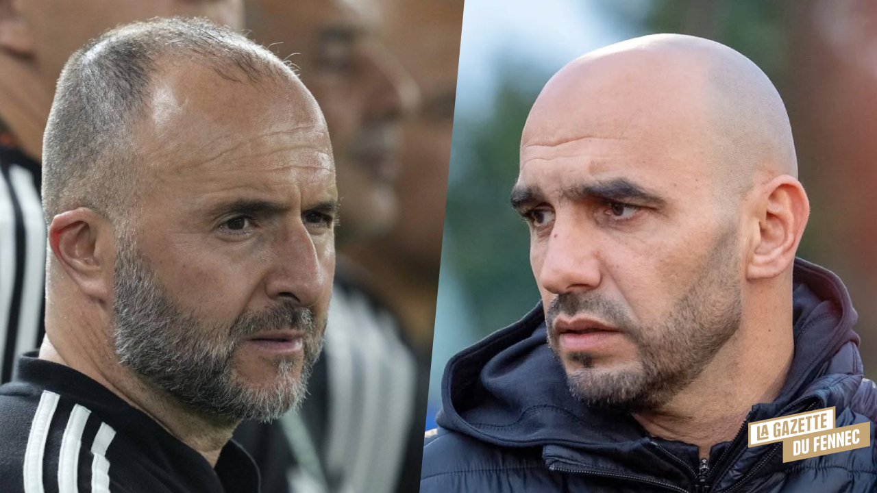 Djamel Belmadi Walid Regragui