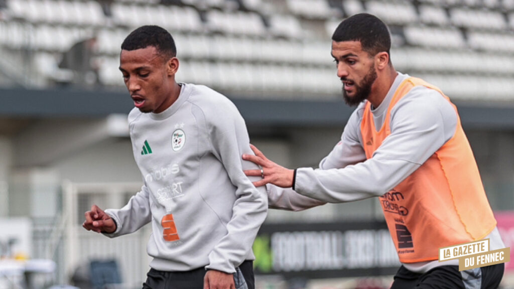 Algérie-Uruguay (J-3) : Les Fennecs déjà tournés vers leur prochain défi