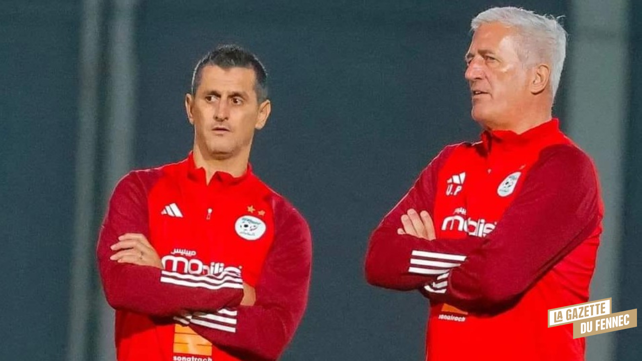 Rafik Saïfi Vladimir Petkovic