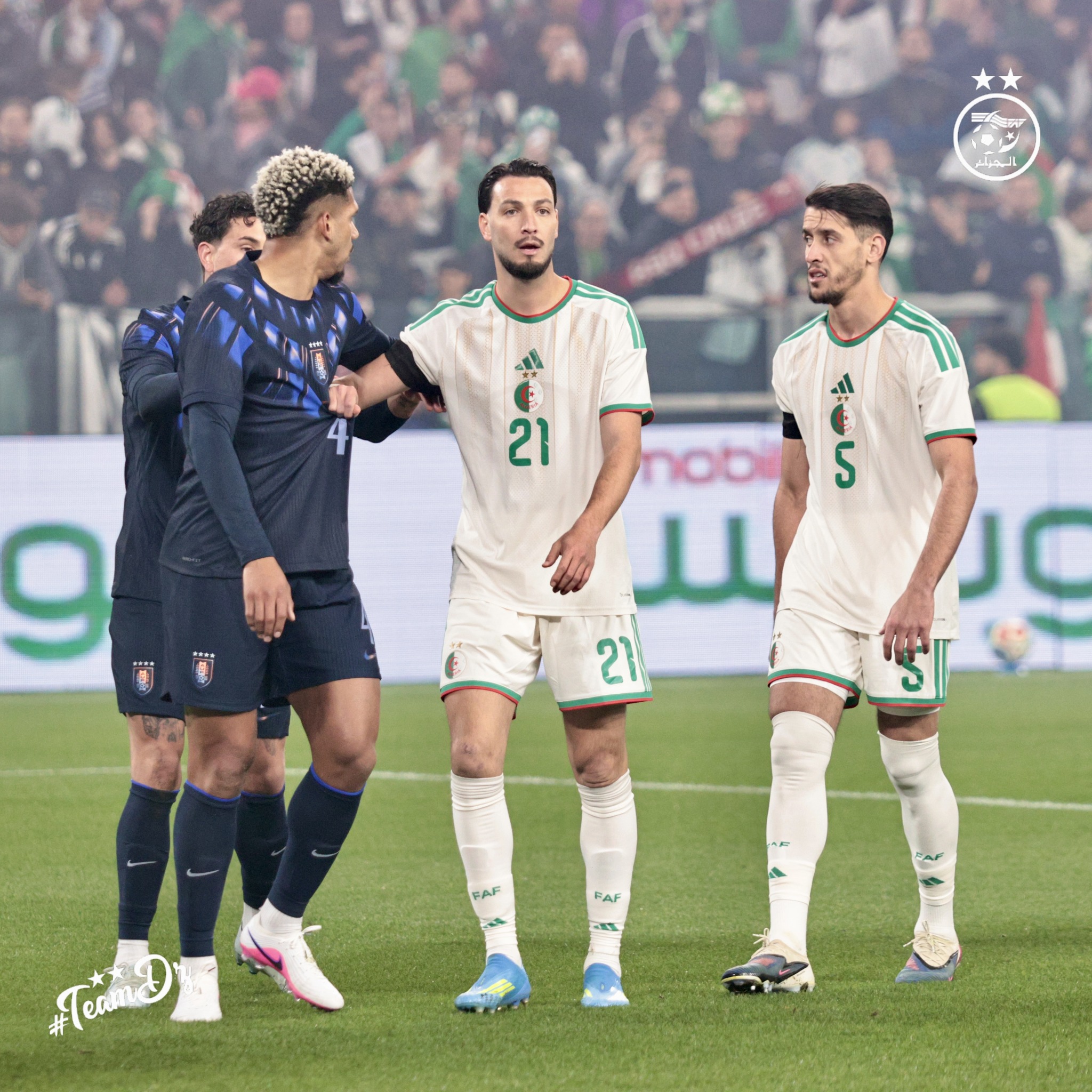 658356013 122191598102484363 8652982614886733340 n