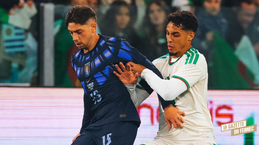 Far&egrave;s Cha&iuml;bi