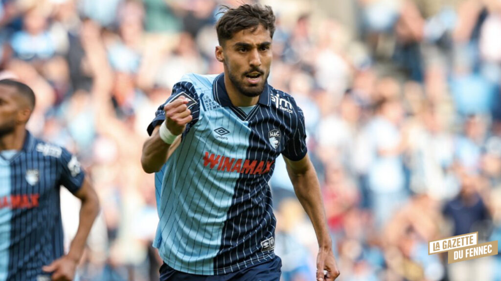 Le Havre-Metz (4-4) : Premier but de la saison pour Zouaoui