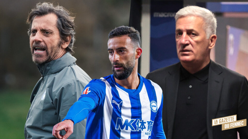 Alg&eacute;rie / Mondial 2026 : L&rsquo;entra&icirc;neur d&rsquo;Alav&eacute;s interpelle Petkovic pour Rebbach !
