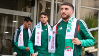 Farès Ghedjemis