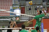 Algérie volleyball