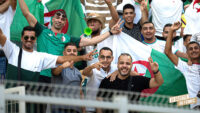 Supporter DZ