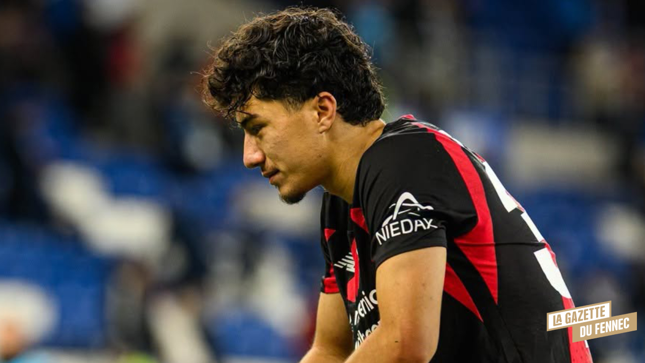 Hoffenheim-Leverkusen (3-0) : Match compliqué pour Maza et les siens